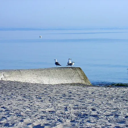 Machedanz Timmendorfer Timmendorfer Strand